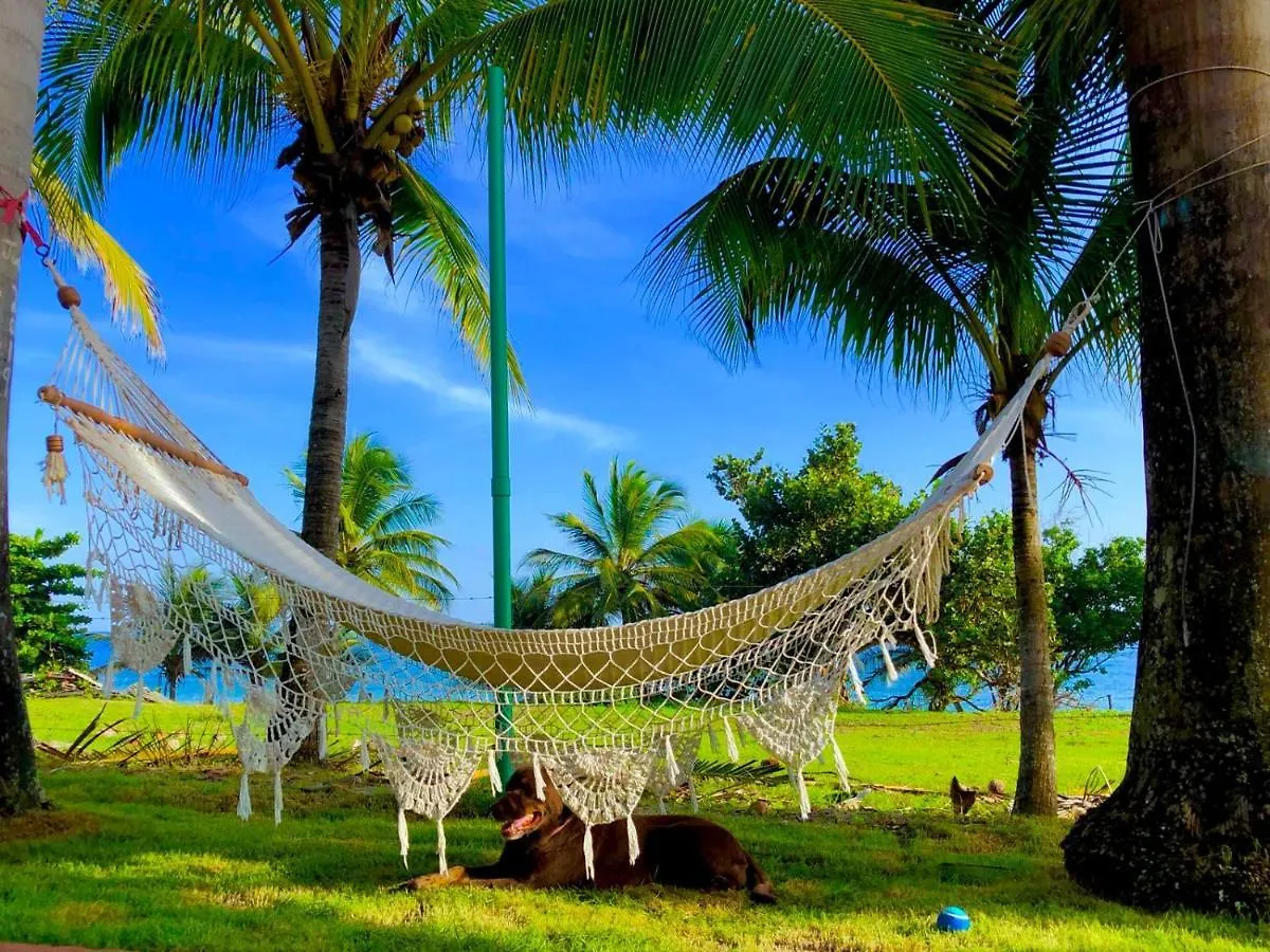 Garza House - Beachfront Full Apt-Finca Corsica Hotel Patillas
